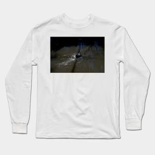 Swan Dive Long Sleeve T-Shirt